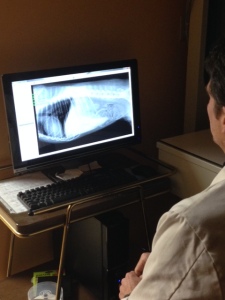 Digital Radiology