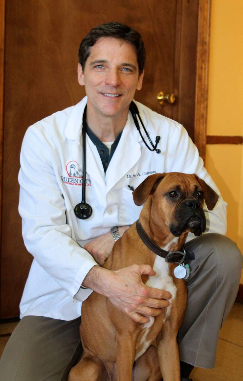 Paul A. Comeau, DVM Queen City Vet